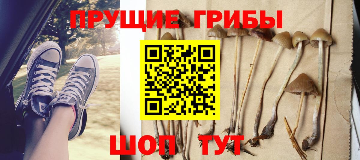 Псилоцибиновые грибы Cubensis Воркута
